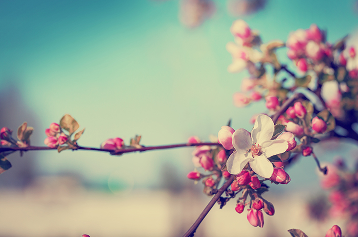 BU NEVRUZ, BİZE BİR ŞEYLER ANLATIYOR! | EĞİTİM İŞ